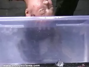 Dziewczyna z pięknym ...